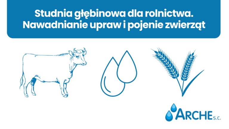 Studnia dla rolnictwa. Nawadnianie upraw i pojenie zwierząt