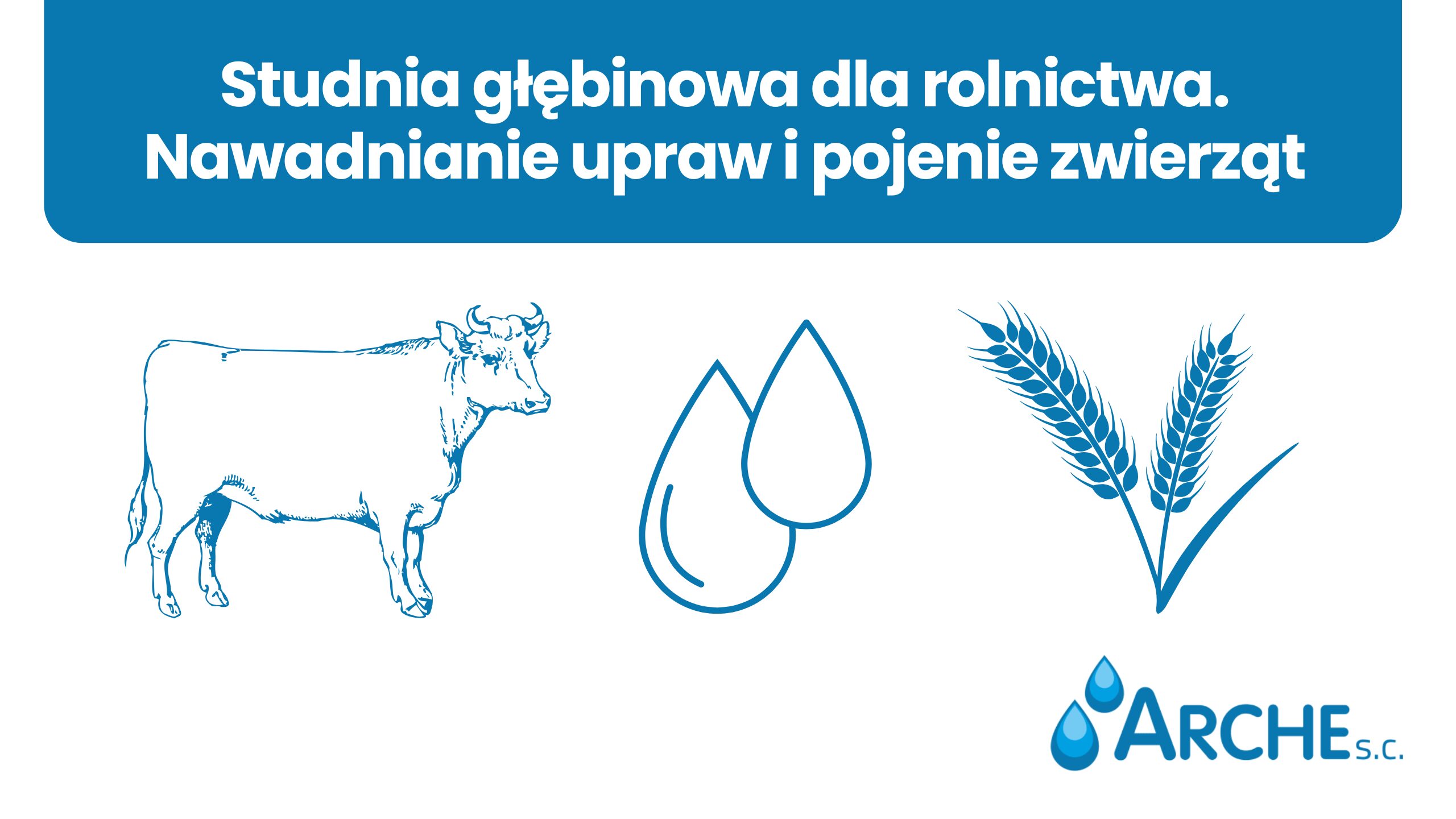 Studnia dla rolnictwa. Nawadnianie upraw i pojenie zwierząt